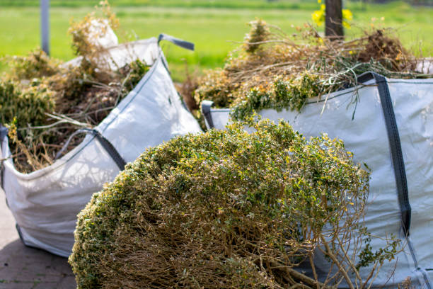 Best Professional Junk Removal  in Augusta, ME